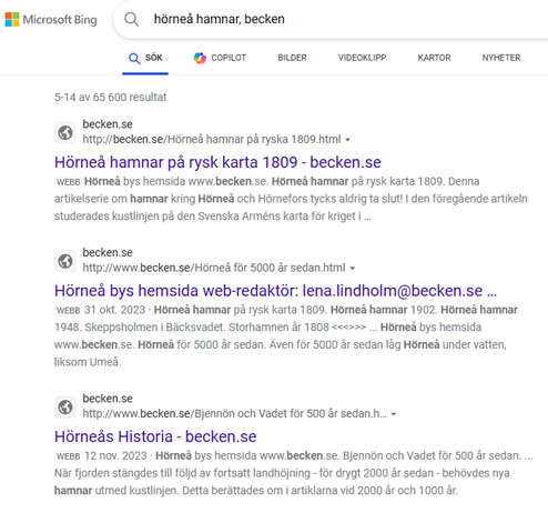 Sökmotor Edge-Bing
